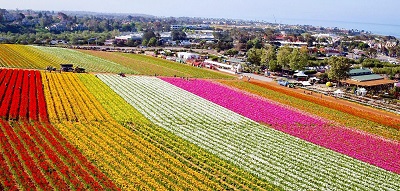 carlsbad-california